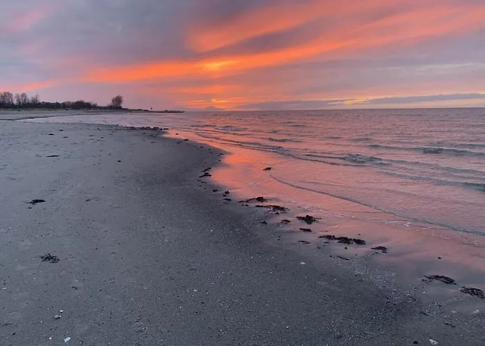 Strandgut 16 1 Appartement